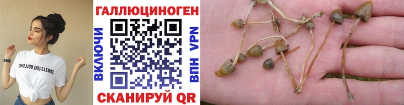 Галлюциногенные грибы ЛСД OMG зеркало Судогда где купить наркоту
